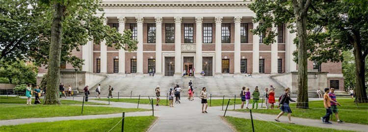 Building a Strong Extracurricular Profile for Global Applications